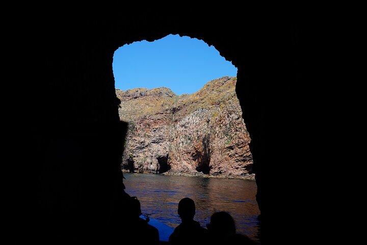 Berlengas Island Private Day Trip from Lisbon