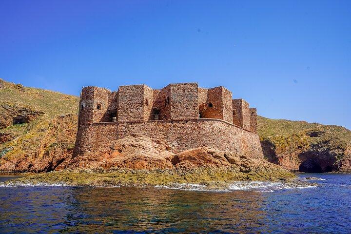 Berlengas Island Private Day Trip from Lisbon