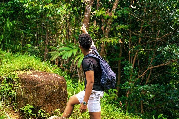 Trilha natural - Morne Blanc (Mahe)
