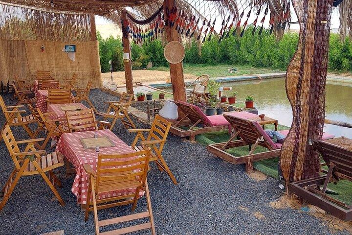 4x4 Desert Safari to Fayoum Oasis: Camel Ride, Magic Lake & Lunch