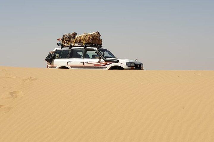 4x4 Desert Safari to Fayoum Oasis: Camel Ride, Magic Lake & Lunch
