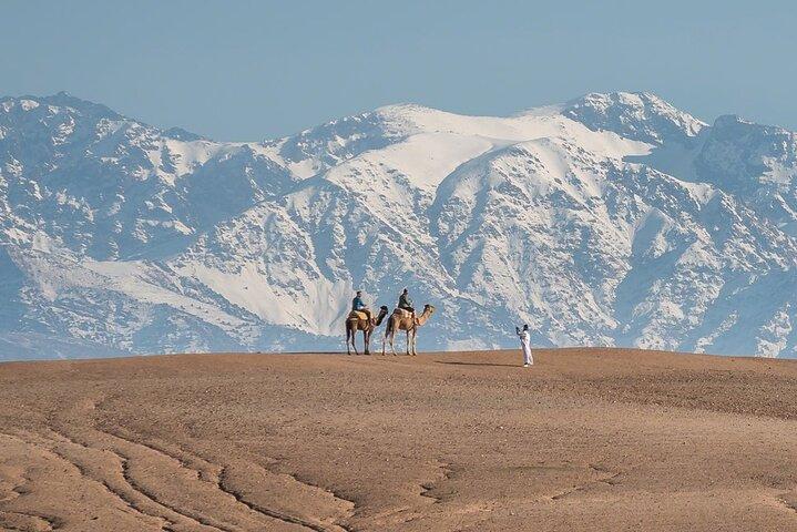 Ourika Valley & Agafay Desert: Atlas Mountains with Camel Ride