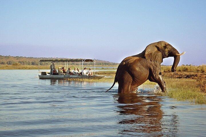Chobe Full Day Safari Trip