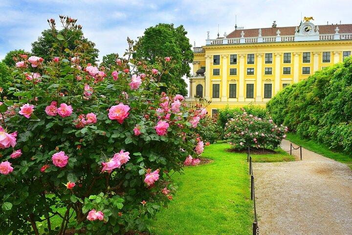 Vienne : Visite guidée privée des jardins du château de Schönbrunn