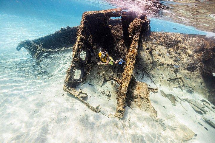 カンクンシュノーケリング : タートルズ、リーフ、ムーサ、難破船、セノーテ