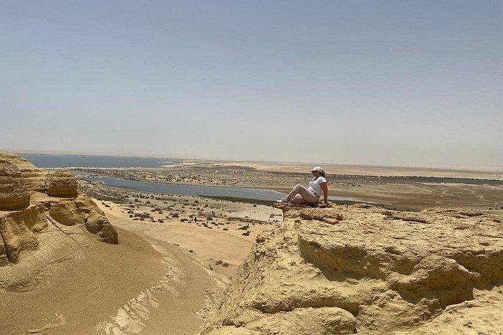 カイロからのプライベートツアーEl Fayoum OasisとWadi Rayan滝
