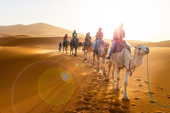 Premium Private Desert Adventure 3 Days Marrakech To Fez Luxury