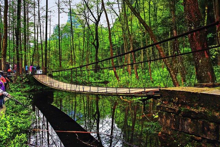 Heldags privat rundvisning i Zhangjiajie National Forest Park