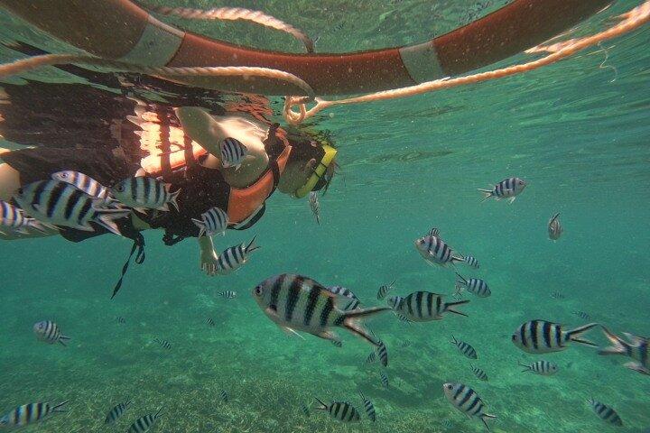 Koh Tao und Koh Nang Yuan Schnellboot Tour ab Koh Phangan