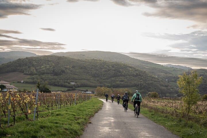 Discover the Beaujolais wines | Guided tour