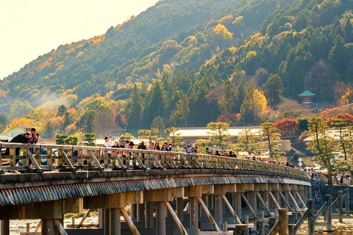伏見稲荷嵐山＆奈良公園と京都・奈良日帰りツアー