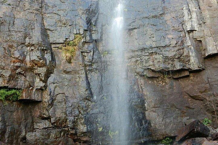 Exclusive knuckles Camping Tour from kandy