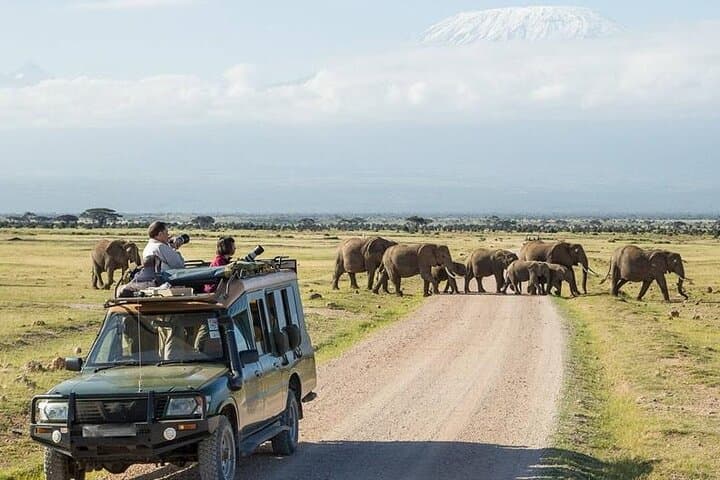 Private Day Tour Amboseli National Park With 4*4 vehicle
