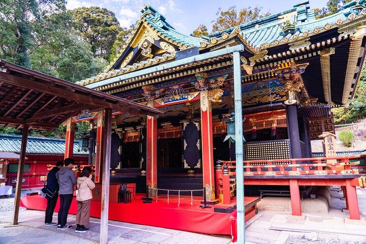 清水港からの貸切観光ツアー／小型バス