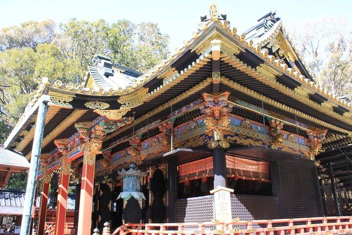 清水港からの貸切観光ツアー／小型バス