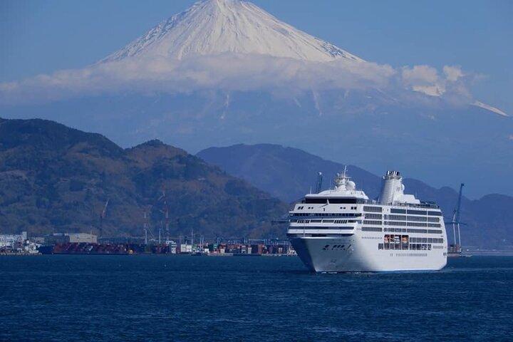 Privétour vanuit de haven van Shimizu / kleine bus