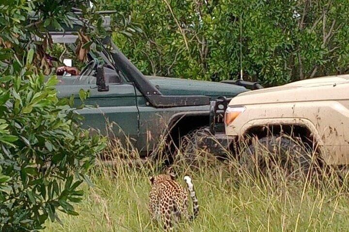 Safari Maasai Mara de 3 jours dans une jeep 4x4 Land Cruiser