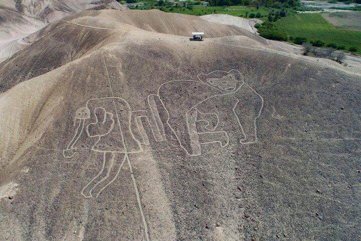 ナスカの地上絵付きプライベート ツアー ミラドール パルパ ナスカ