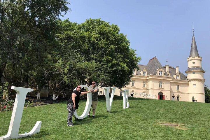 Visita privata alla degustazione di vini di Changyu Chateau e visita alla Grande Muraglia di Mutianyu