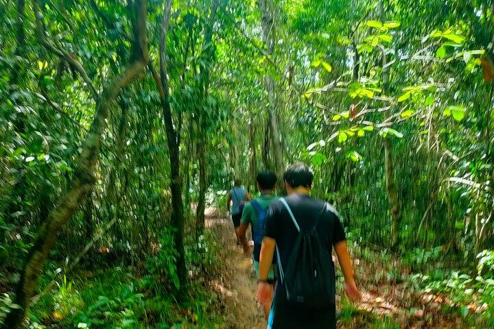 フーコック（ダゴン滝）で最高のトレッキングツアー