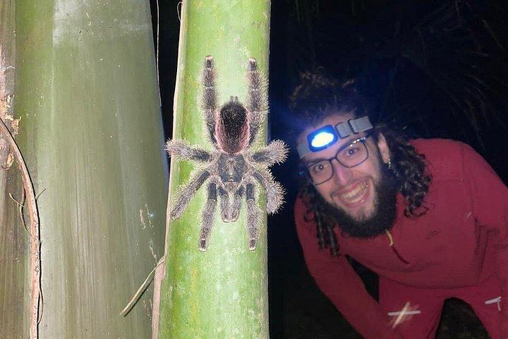 Iquitos: Expedition and Adventure in the Amazon | 2 days