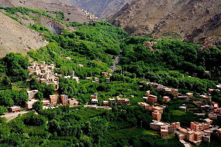 Day Trip from Marrakech: Ourika Valley or Ouzoud Waterfalls