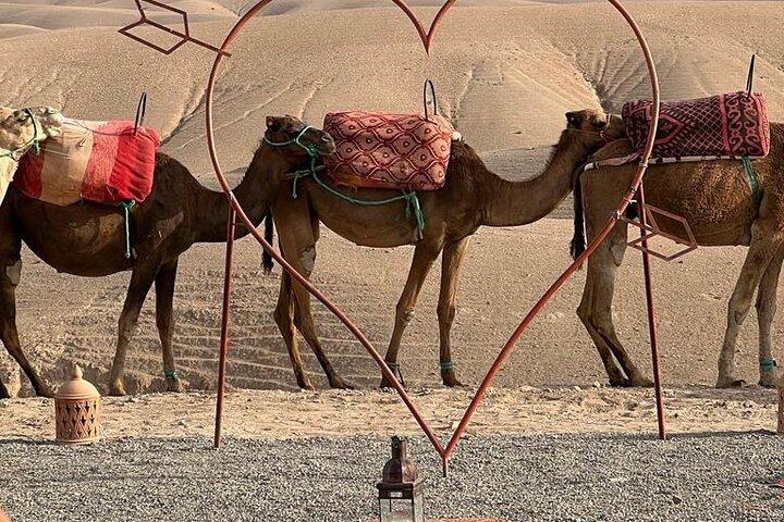 Agafay Desert : Dinner, show, Sunset & Access to the pool