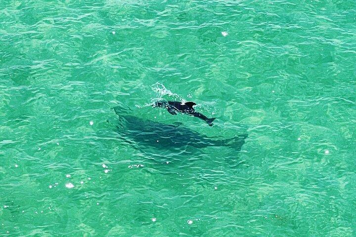 Kayak chiaro attraverso Clearwater