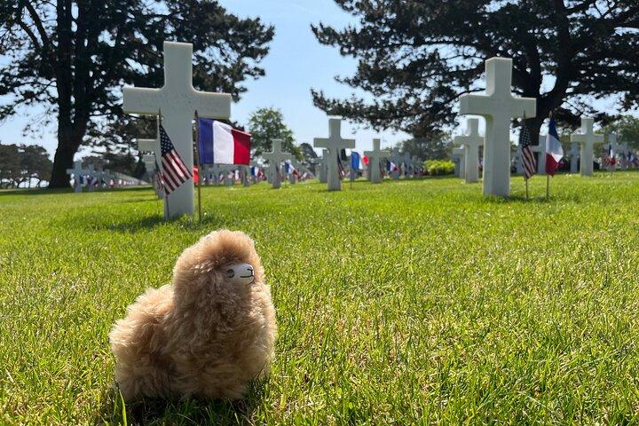 Normandie D-day landningsstränder och Caen Memorial Private Tour