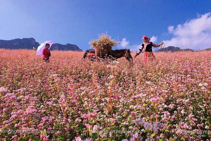 Ha Giang Loop Tour - 2 jours, 1 nuit