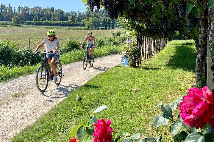 E-Bike Tour y degustación de vinos en Lazise Countryside