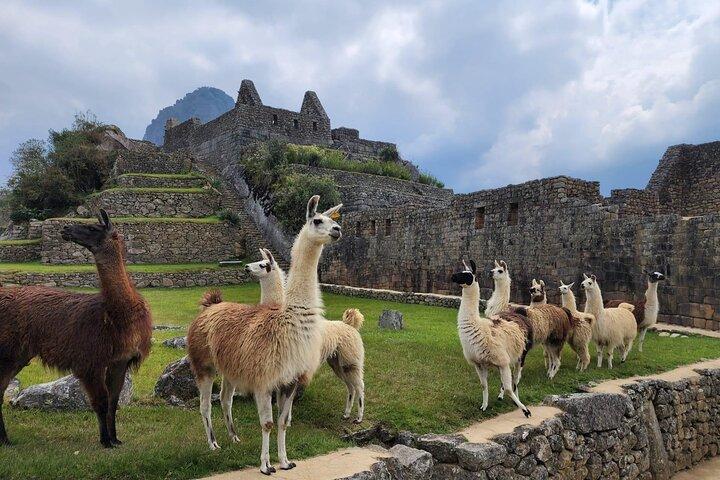 Inca Trail 2 - Excursion d'une journée au Machu Picchu : Short Trek