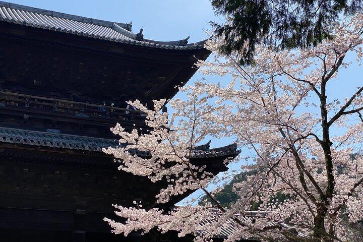 Kyoto Garden Tour og Mini Garden Making Experience