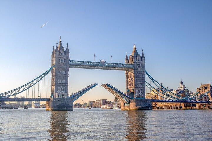 Visite privée d'une demi-journée à Londres