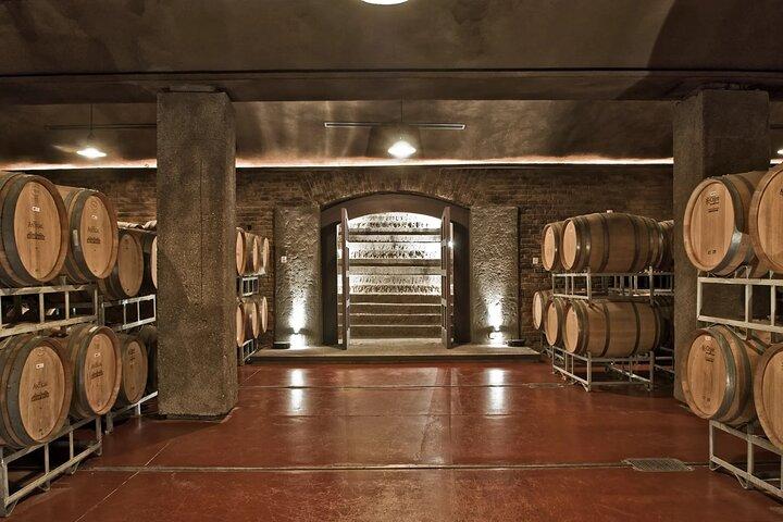 3 Wineries & Olive Oil Experience with Private Transport
