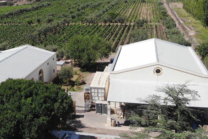 3 Wineries & Olive Oil Experience with Private Transport