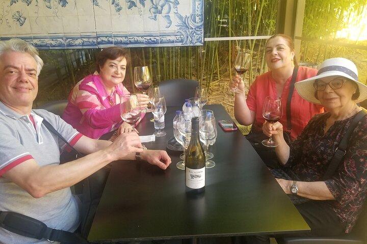 Azeitão Wines Tour and Stunning View Lisbon