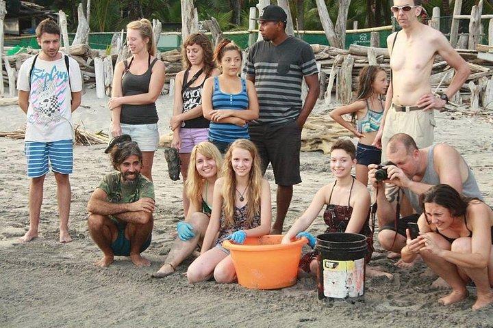One Week Turtle Rescue Volunteer Work