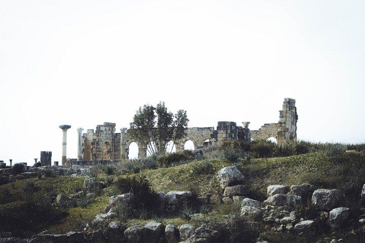 Historische dagtour naar Meknes Volubilis en Moulay Idriss