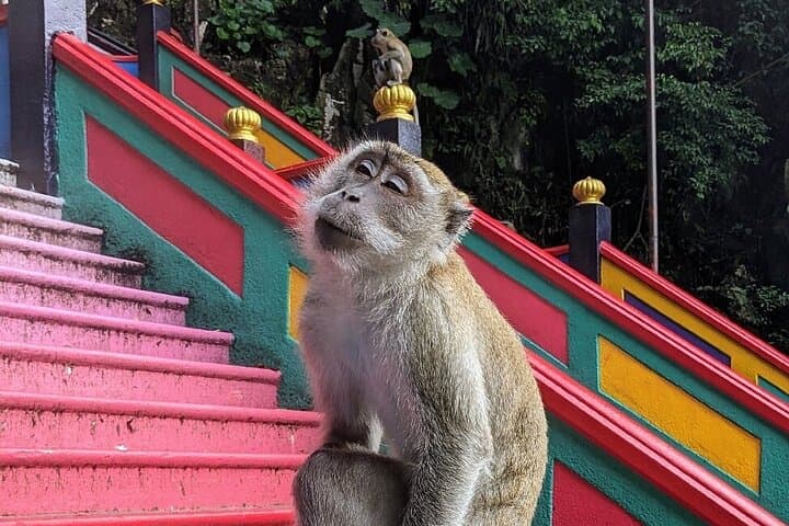 Batu Caves, Waterfalls and Hot Springs Tour With Lunch