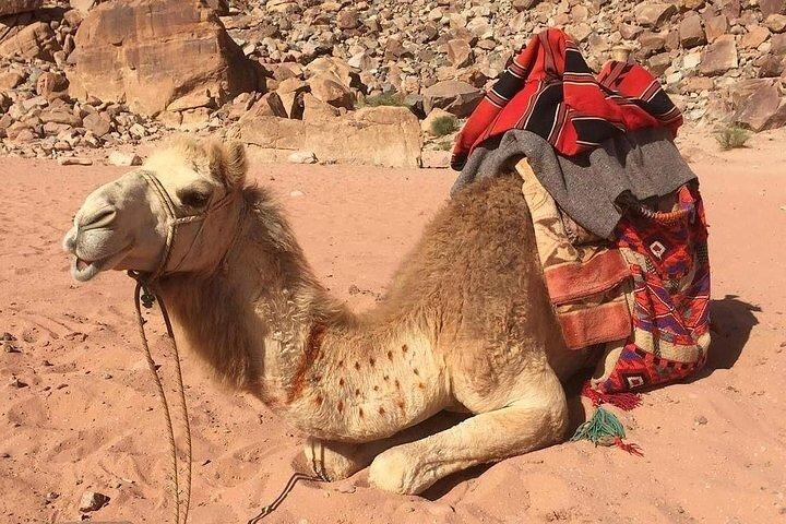 03 giorni Petra, Wadi Rum e Mar Morto da Amman