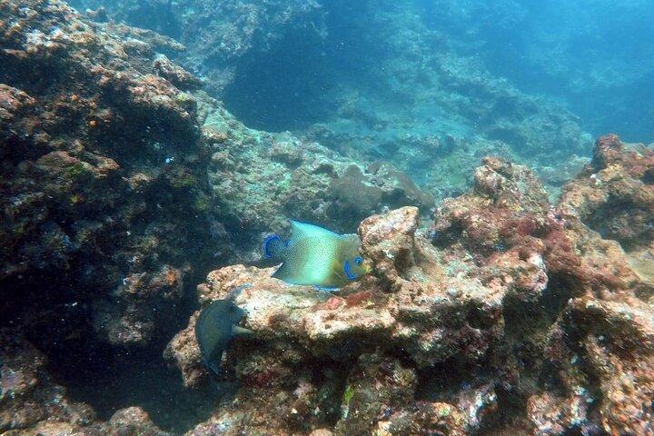 Buceo en Negombo