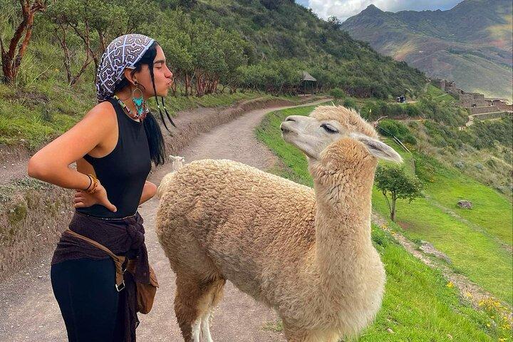 Valle Sacra degli Incas: tour di 1 giorno