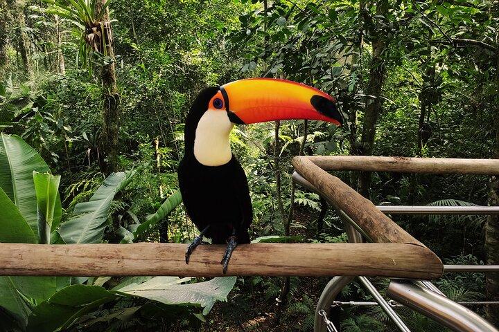 Ingresso e excursão para o Parque das Aves