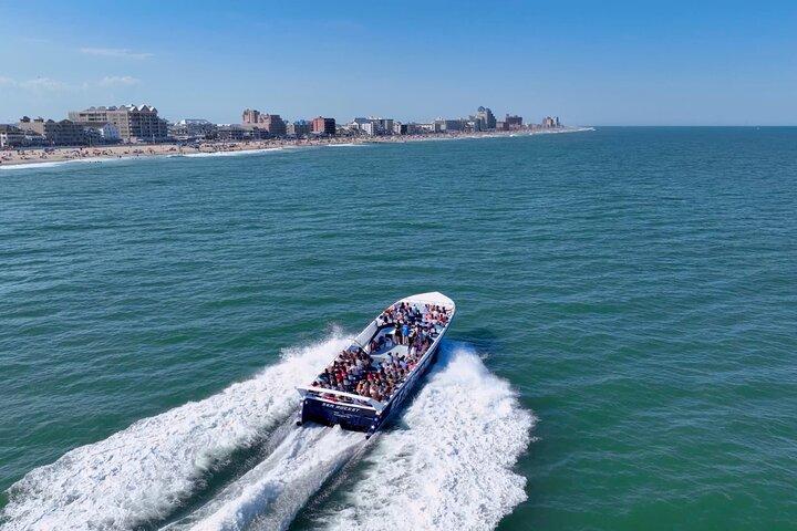 45-minutters Sea Rocket Speed Boat & Dolphin Cruise i Ocean City MD