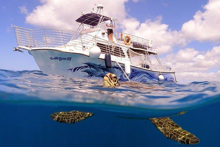 Waikiki Turtle snorkeltour met gratis trolleyrit