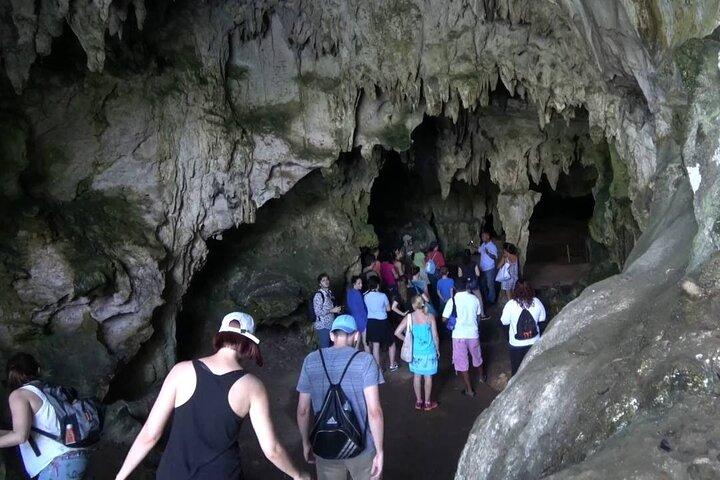 Tour guiado de 10 horas por Samaná y la isla Bacardí Los Haitises