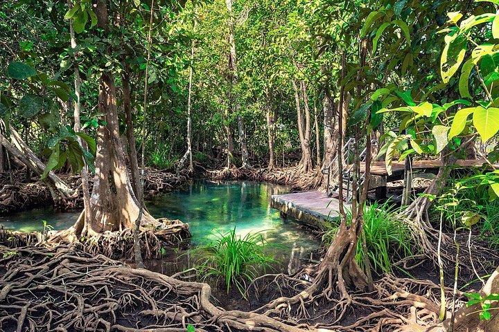 Samaná & Bacardi Island + Los Haitises | Full-Day Excursion