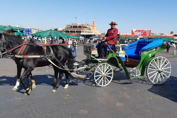 1-Hour Horse Carriage Drawn Marrakech City Tour