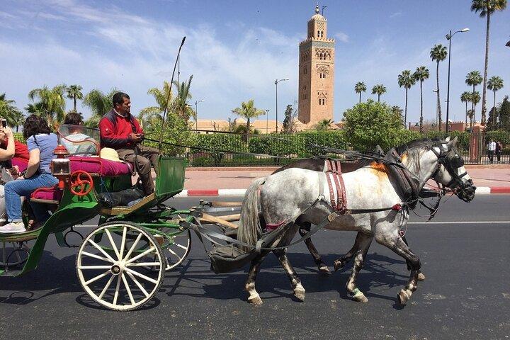 1-Hour Horse Carriage Drawn Marrakech City Tour